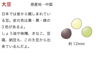 大豆
