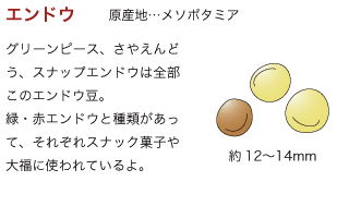 エンドウ