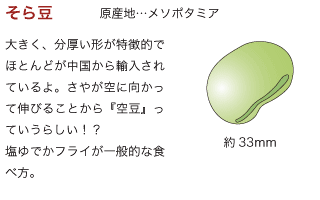 そら豆